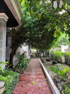 Rumah Mewah Besar Jln, Sei tuan, medan baru lokasi di Medan Kota, tersedia melalui melalui situs Olx