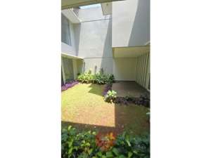 Rumah Sewa ada Kolam Renang dan Rooftop di Kuningan Jakarta lokasi di Kuningan Kab., tersedia melalui melalui situs Olx