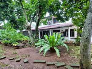 Rumah tanahnya luas 1600 m2 ulujami Jakarta selatan bebas banjir lokasi di Jakarta Selatan, tersedia melalui melalui situs Olx