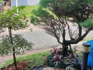 Rumah The Mozia AMARINE BSD Semi Furnished lokasi di Tangerang Kab., tersedia melalui melalui situs Olx