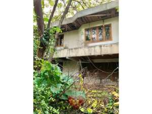 Rumah Tua Hitung Tanah di Simprug Golf Jakarta Selatan lokasi di Jakarta Selatan, tersedia melalui melalui situs Olx