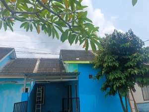 Rumaj dikontrakkan lokasi di Jember Kab., tersedia melalui melalui situs Olx