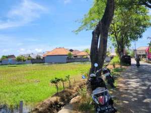 Sale dan lease tanah di jalan utamaSeseh lokasi di Kab. Badung, tersedia melalui melalui situs Olx