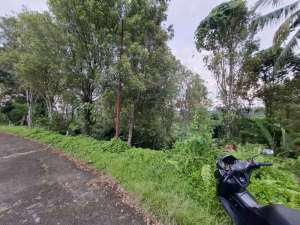 sangat langka tanah view langsung air terjun lokasi di Tabanan Kab., tersedia melalui melalui situs Olx
