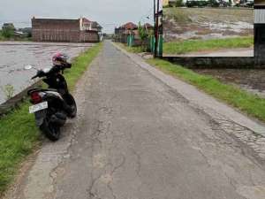 sawah kering Sragen Lor Nglorog Sragen Jawa Tengah lokasi di Sragen Kab., tersedia melalui melalui situs Olx