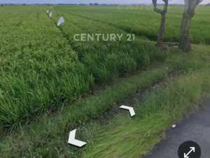 Sawah Luas MURAHNego Sampai Jadi Sari Mukti Cibitung Bekasi lokasi di Bekasi Kab., tersedia melalui melalui situs Olx