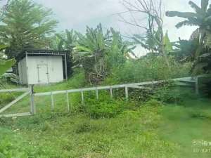 Sawah Murah bonus kandang kantor lokasi di Sleman Kab., tersedia melalui melalui situs Olx