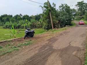 SAWAH PRODUKTIFDI TENGAH PERKAMPUNGAN lokasi di Purwakarta Kab., tersedia melalui melalui situs Olx