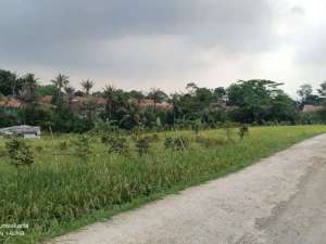 SAWAH PRODUKTIF UNTUK VILA UNTUK INVES. DI PUSAT KOTA PURWAKARTA lokasi di Purwakarta Kab., tersedia melalui melalui situs Olx