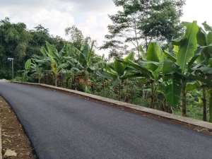 SEBELAH VILA KAYUJL. HOTMIKTANAH KEBUN KOSONG lokasi di Purwakarta Kab., tersedia melalui melalui situs Olx