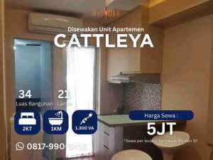 Sewa 2BR atas mall apartemen Bassura City tower Cattleya lokasi di Jakarta Timur, tersedia melalui melalui situs Olx