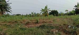 sewa tanah cipondoh tangerang lokasi di Tangerang Kota, tersedia melalui melalui situs Olx