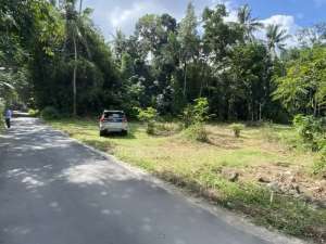 SHM Aktif Tanah Triharjo Area Pemda Sleman Dekat Jl. Magelang lokasi di Sleman Kab., tersedia melalui melalui situs Olx