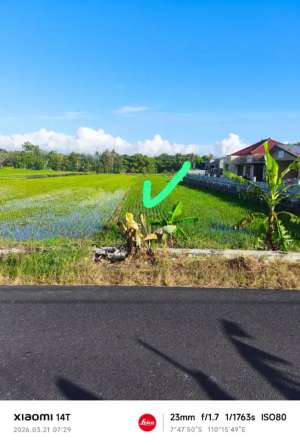 SHM MURAH YOGYAKARTA PINGGIR JALAN lokasi di Bantul Kab., tersedia melalui melalui situs Olx