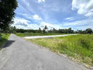 SHM Ready Lingkungan Asri, Tanah Murah Kaliurang Jogja lokasi di Sleman Kab., tersedia melalui melalui situs Olx