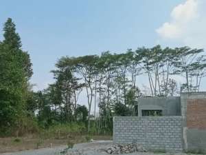 Siap AJB Timur Pasar Jangkang Sleman Free Desain Rumah lokasi di Sleman Kab., tersedia melalui melalui situs Olx