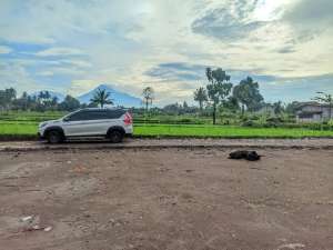 Siap Bangun Dijual Tanah Di Pandowoharjo Jalan Palagan Dekat Pasar Rejodani lokasi di Yogyakarta Kota, tersedia melalui melalui situs Olx