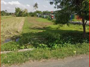 Siap Bangun Kost Tanah dekat kampus Jogja Kota ,SHM P unit lokasi di Sleman Kab., tersedia melalui melalui situs Olx