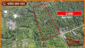 Strategis 350 are Perkebunan Datar di Jembrana Bali lokasi di Jembrana Kab., tersedia melalui melalui situs Olx