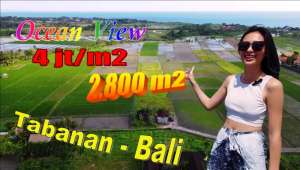 Strategis Area Kediri 28 Are dekat Pantai, Tanah Siap Bangun lokasi di Tabanan Kab., tersedia melalui melalui situs Olx