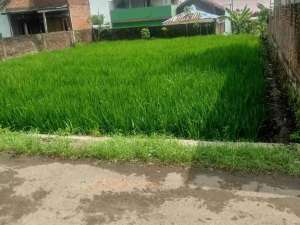 Tanah 17 tumbak, masuk mobil lokasi gandasari lokasi di Garut Kab., tersedia melalui melalui situs Olx