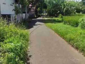 TANAH 1790M SHM MURAH CIAKAR PANONGAN DEKAT CITRA RAYAPASAR CURUG TANGERANG lokasi di Tangerang Kab., tersedia melalui melalui situs Olx