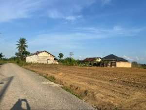 Tanah 20Jt Dekat Bandara Jambi lokasi di Jambi Kota, tersedia melalui melalui situs Olx