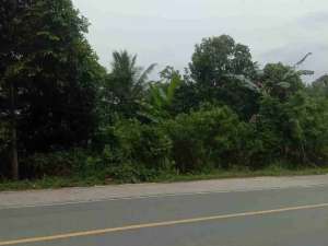 Tanah 3,5 H km 22 Balikpapan lokasi di Bandar Lampung Kota, tersedia melalui melalui situs Olx