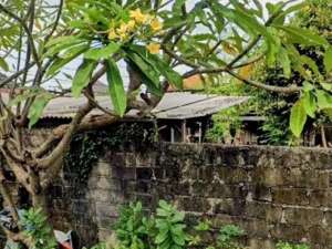 Tanah 3,52 Are Dalam Komplek Perumahan Dijual, di Area Denpasar Utara lokasi di Denpasar Kota, tersedia melalui melalui situs Olx