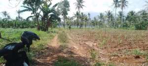 tanah 5 hektar di negeri saktipesawaran lokasi di Bandar Lampung Kota, tersedia melalui melalui situs Olx