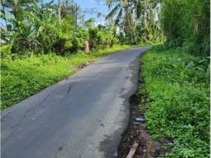 Tanah 6 Are di Tegalalang Ubud lokasi di Gianyar Kab., tersedia melalui melalui situs Olx
