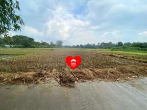 Tanah 800m2 di Jagabita Parung Panjang Bogor lokasi di Tangerang Kab., tersedia melalui melalui situs Olx