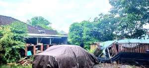 Tanah 9 are jl Ahmad Yani Utara Peguyangan Denpasar Bali lokasi di Denpasar Kota, tersedia melalui melalui situs Olx