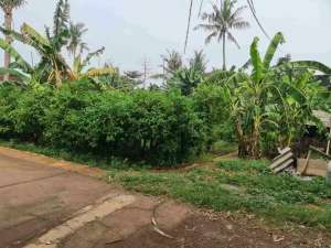 Tanah 925 m 28x33cocok utk rumahworkshop gudang dll akses 2 mobil bisa masuk truk di cikunir lokasi di Bekasi Kota, tersedia melalui melalui situs Olx