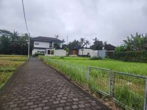 Tanah 980m2 Lingkungan Villa Mewah di Lotunduh Ubud lokasi di Gianyar Kab., tersedia melalui melalui situs Olx