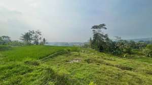 Tanah Air Mengalir Dekat Masjid Pondoksalam Purwakarta Dijual Murah lokasi di Purwakarta Kab., tersedia melalui melalui situs Olx