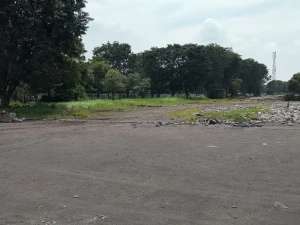 Tanah Area Indsustri Gresik lokasi di Gresik Kab., tersedia melalui melalui situs Olx