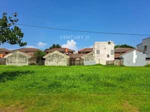 Tanah Area Tanjung Bunga Jalan Gunung Agung lokasi di Flores Timur Kab., tersedia melalui melalui situs Olx