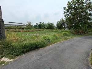 Tanah Asri Utara Green Hill Kaliurang dijual murah lokasi di Yogyakarta Kota, tersedia melalui melalui situs Olx