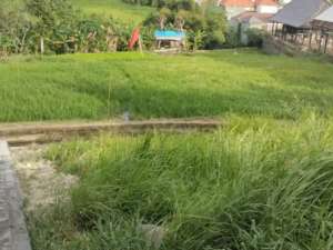 tanah bagus cocok untuk bangun villa lokasi di Kab. Badung, tersedia melalui melalui situs Olx