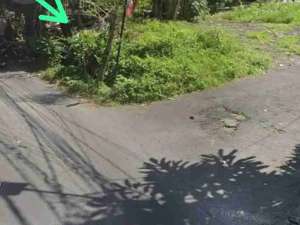 tanah bagus cocok untuk segala usaha lokasi di Kab. Badung, tersedia melalui melalui situs Olx