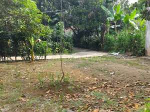 Tanah Bagus Dekat Fasilitas umum SHM 100m2 di Bojonggede-Bogor. lokasi di Bogor Kab., tersedia melalui melalui situs Olx