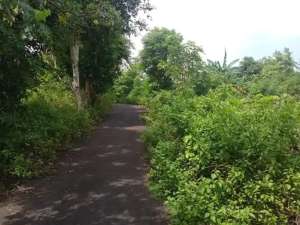 tanah bagus dekat ke pantai berjarak 800 meter ke pantai lokasi di Kab. Badung, tersedia melalui melalui situs Olx