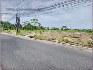 Tanah bagus di Utara Lotte mart Maguwoharjo , SHM P 3 jutaan lokasi di Sleman Kab., tersedia melalui melalui situs Olx