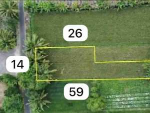 TANAH BAGUS MURAH STRATEGIS DEKAT TENGKLENG GAJAH JL.KALIURANG KM 9 SINDUHARJO NGAGLIK SLEMAN lokasi di Sleman Kab., tersedia melalui melalui situs Olx