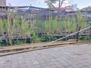 Tanah Bagus Untuk kos Atau Rumah Tinggal di Jakal km7 lokasi di Sleman Kab., tersedia melalui melalui situs Olx