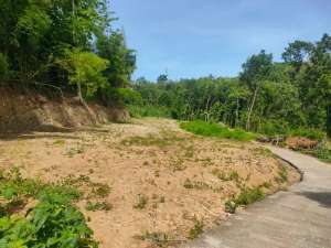 Tanah Bantul 8 Menit Pasar Pleret lokasi di Yogyakarta Kota, tersedia melalui melalui situs Olx