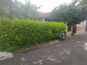 Tanah Baturan dekat DPRD solo siap bangun lokasi di Karanganyar Kab., tersedia melalui melalui situs Olx