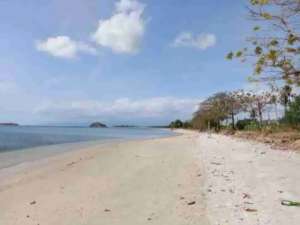 Tanah Beach Front Kawasan Zona Pink dekat The Club Villas Lombok lokasi di Lombok Barat Kab., tersedia melalui melalui situs Olx