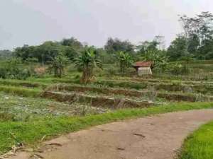 tanah bekas sawah lokasi di Purwakarta Kab., tersedia melalui melalui situs Olx